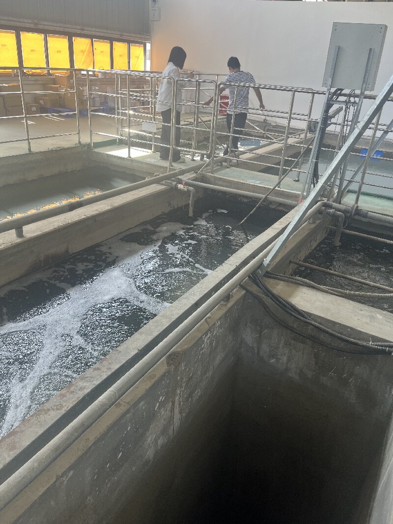 636308efac1c2.jpg 1.jpg