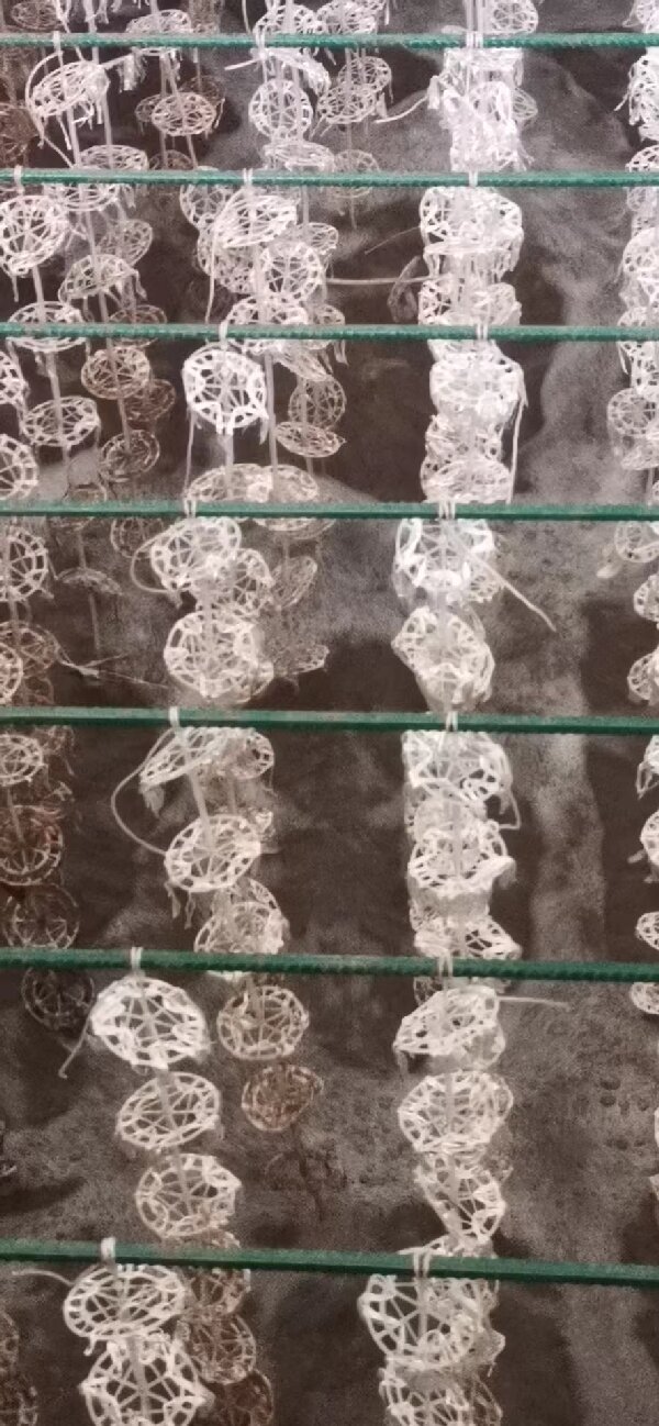 深業(yè)新能源（臺鈴電動車）電泳、