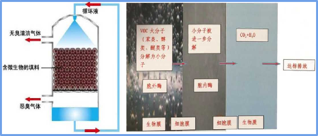 6405a18e4f0c4.png 6405a18e4f0c4.png